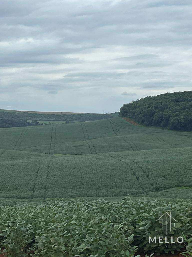 Área à venda em Laranjeiras do Sul, 270Alqueires Paulista
