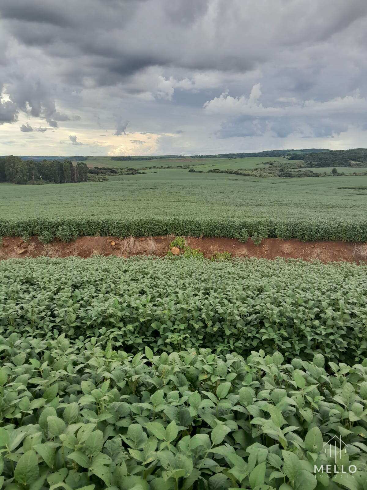 Área à venda, 305Alqueires Paulista