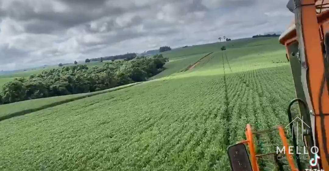 Área à venda em Ponta Grossa, 342Alqueires Paulista