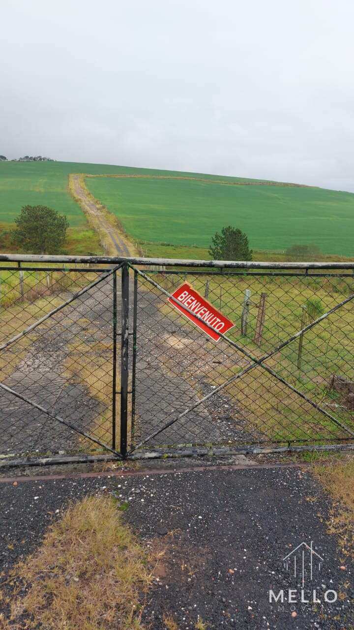 Área à venda em Ponta Grossa, 133 Alqueires Paulista