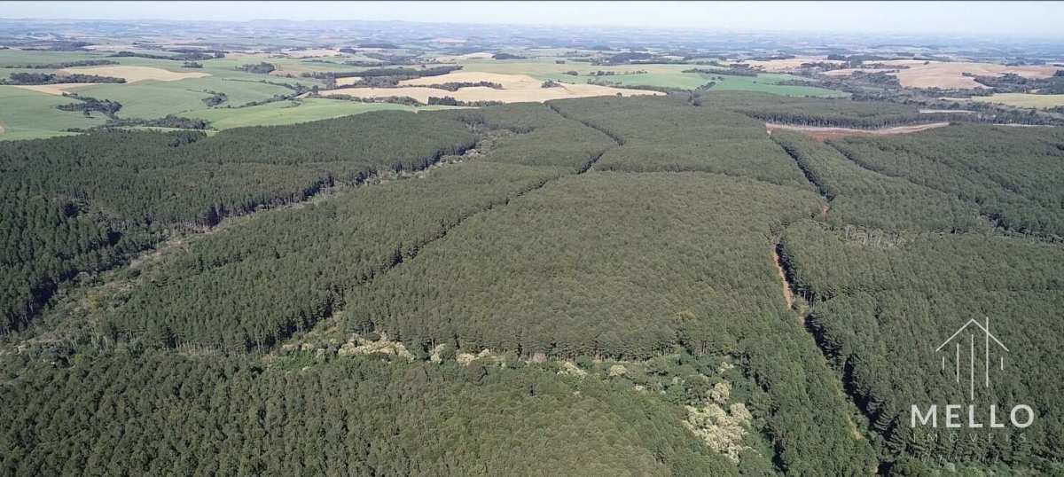 Área à venda em Mangueirinha, 432Alqueires Paulista