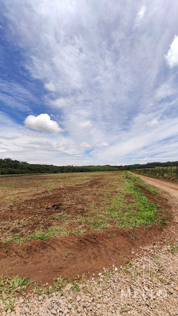 Chácara à venda no bairro Colônia Dona LuÍza - Ponta Grossa/PR