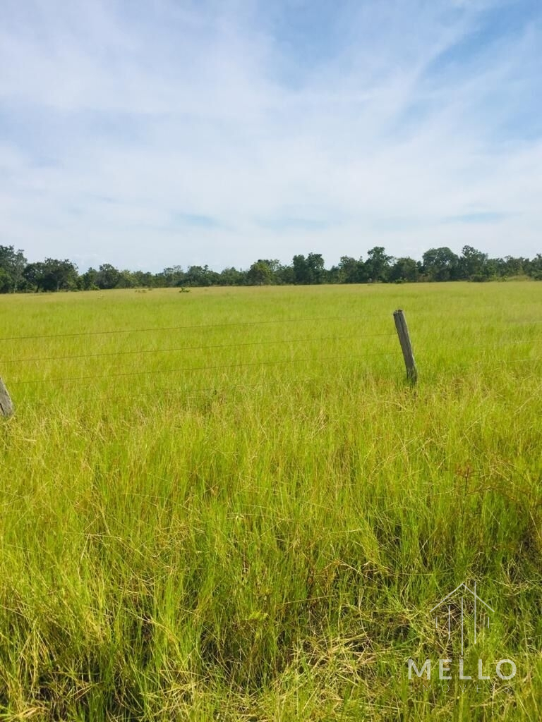 Fazenda à venda no bairro Centro - Araguaiana/MT