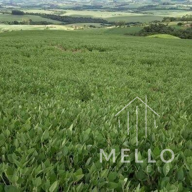 Fazenda à venda no bairro Centro - Manoel Ribas/PR