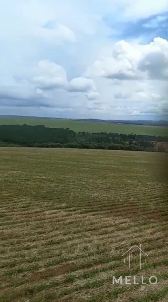 Fazenda à venda no bairro Centro - Tibagi/PR