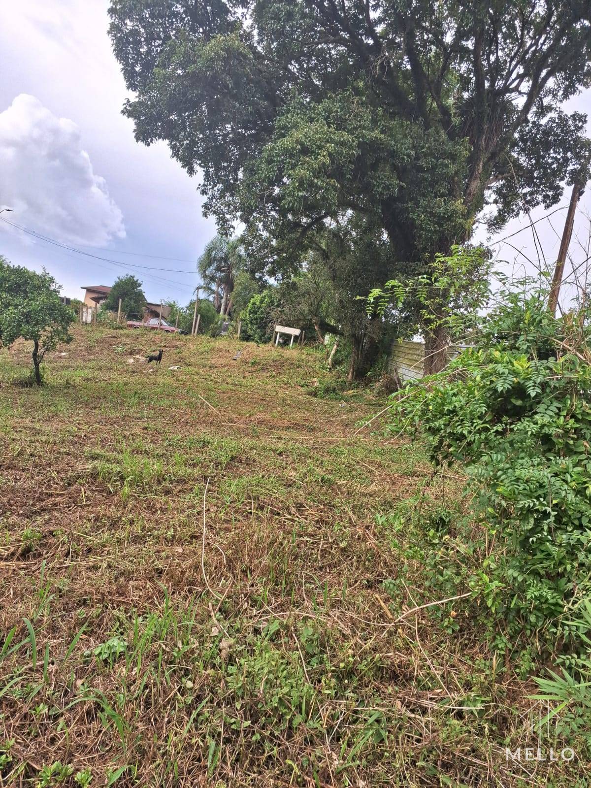 Terreno à venda em Araucária, Centro, 892m²